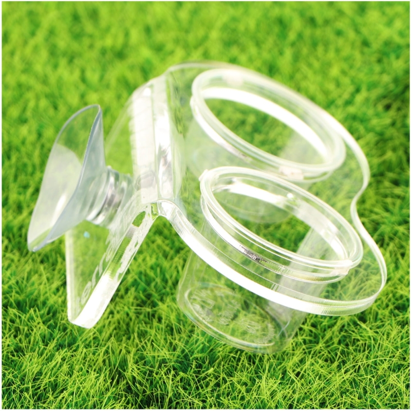 miseczka-do-terrarium