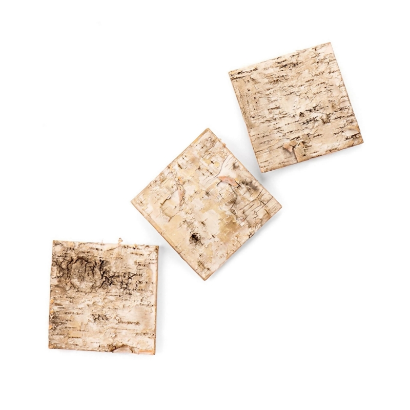 tlo-do-terrarium-dla-ptasznika