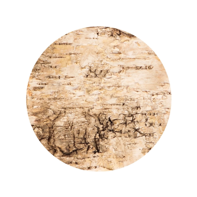 tlo-do-terrarium-dla-ptasznika