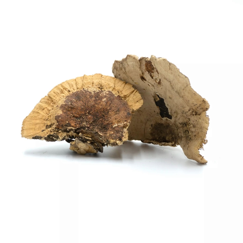 Huba-naturalna-dekoracja