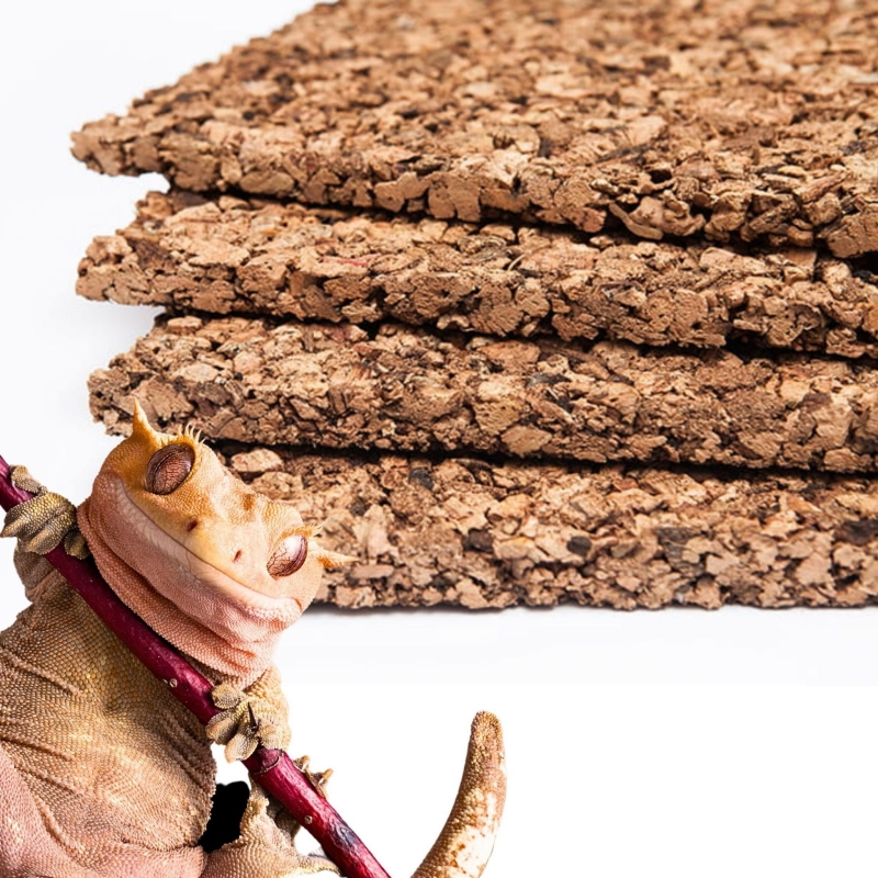 scianka-korkowa-do-terrarium-dla-weza