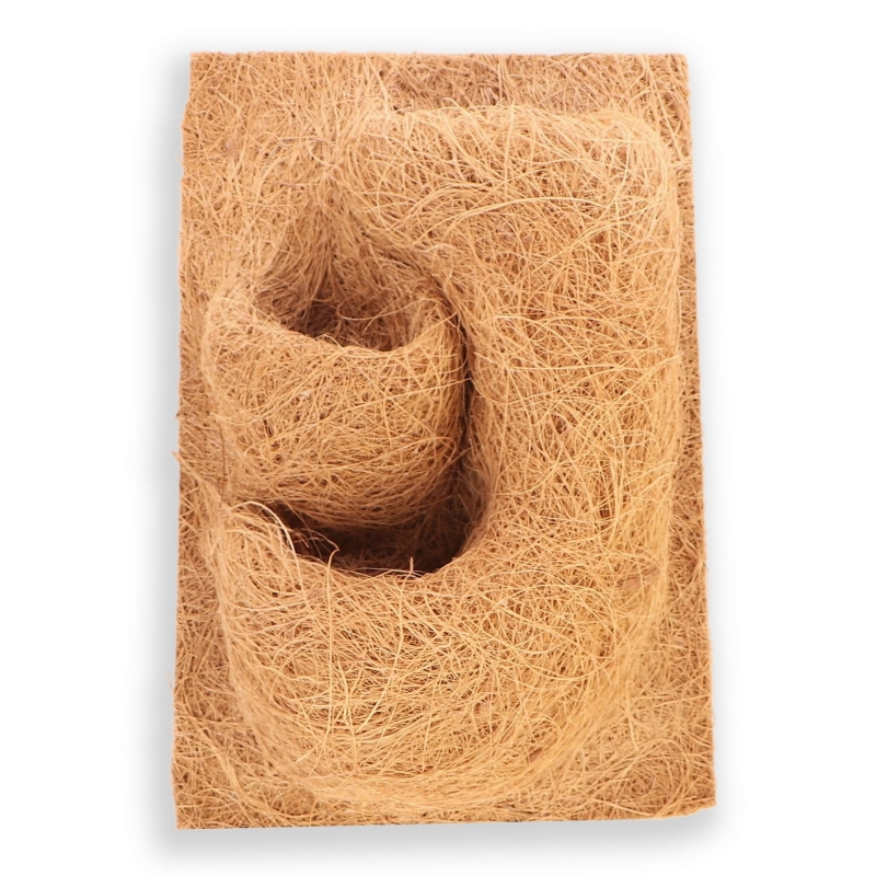 scianka-do-terrarium-dla-gekona