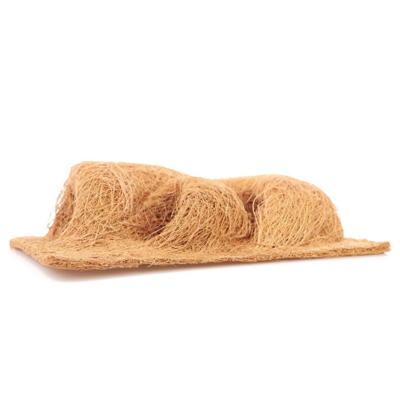 scianka-do-terrarium-dla-gekona