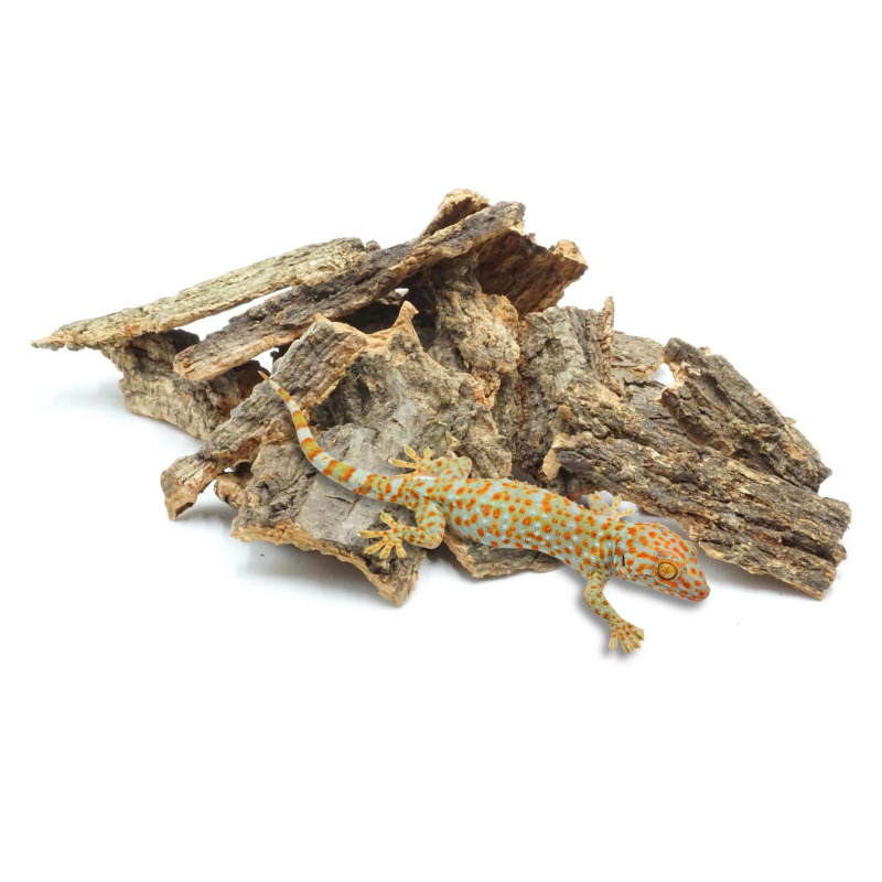 cienkie-scinki-korkowe