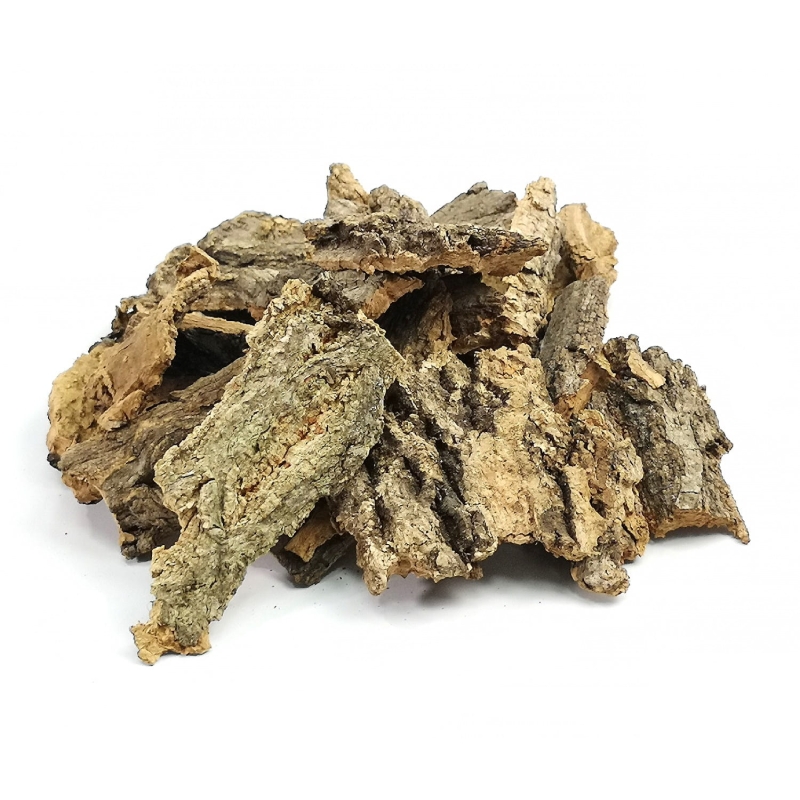 scinki-korkowe-dla-ptasznika