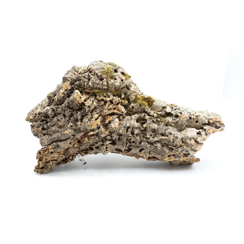 schornienie-do-terrarium-dla-gadow