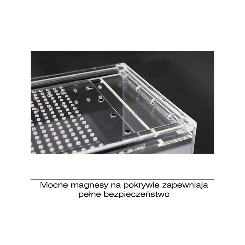 repti-zoo-terrarium-box-akrylowy-10x8x6-cm