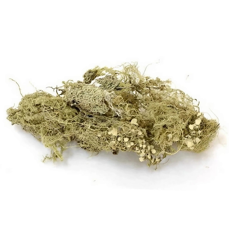 mech-do-terrarium-tropikalnego