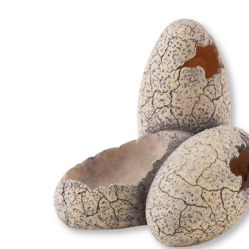 poidełko dla jaszczurki