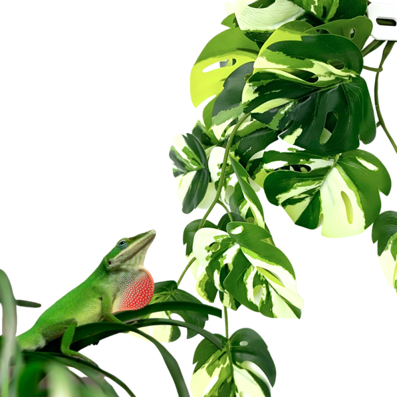 BioBush