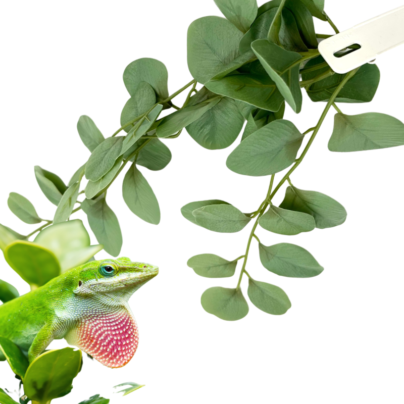 BioBush
