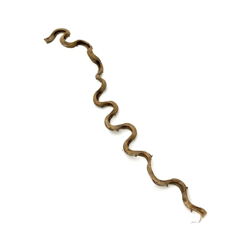 naturalna-ozdoba-do-terrarium