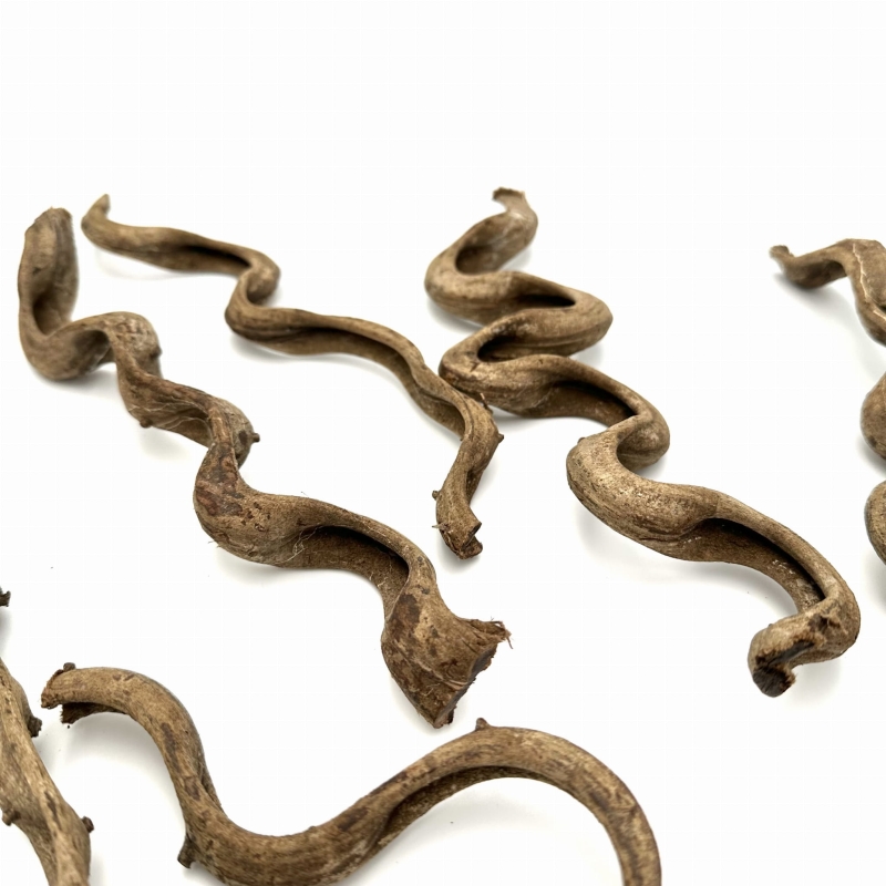 Liana-do-Terrarium-do-wspinaczki