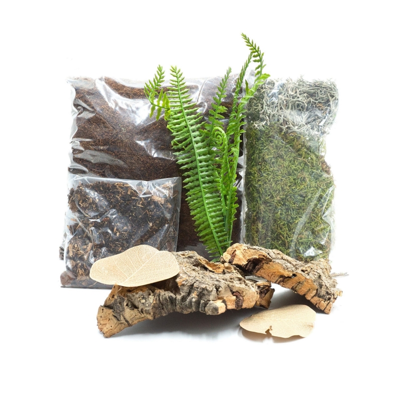 Starter-dla-pajakow