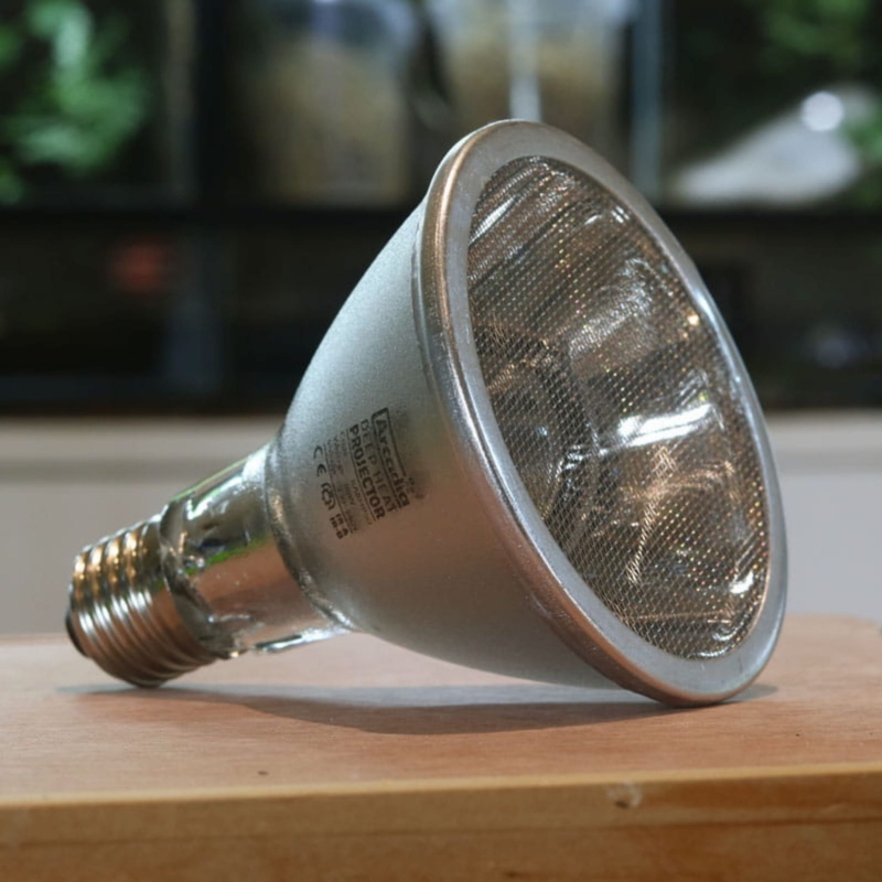 zarowka-grzewcza-50w-80w