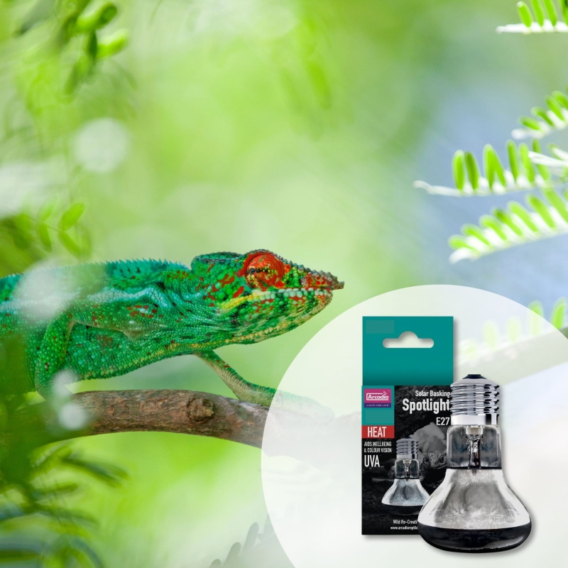 zarowka-grzewcza-50w-75w-100w-150w