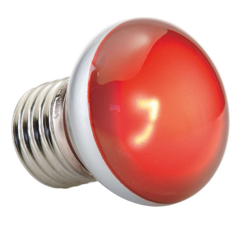 zarowka-grzewcza-podczerwona-do-malego-terrarium