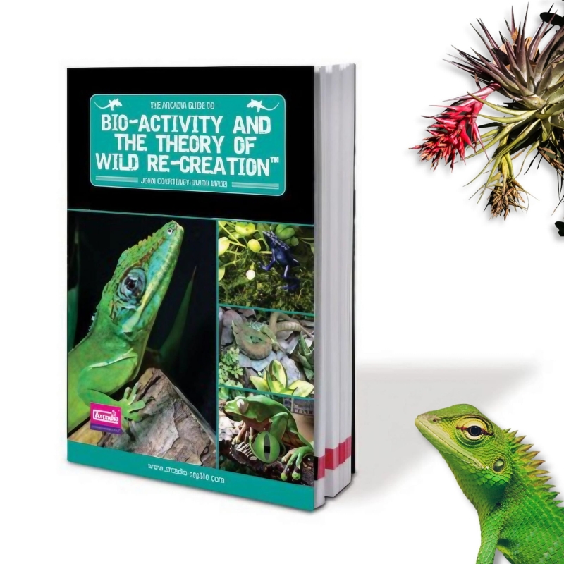 Książka Bio-Activity Odtwarzanie Natury w Terrarystyce