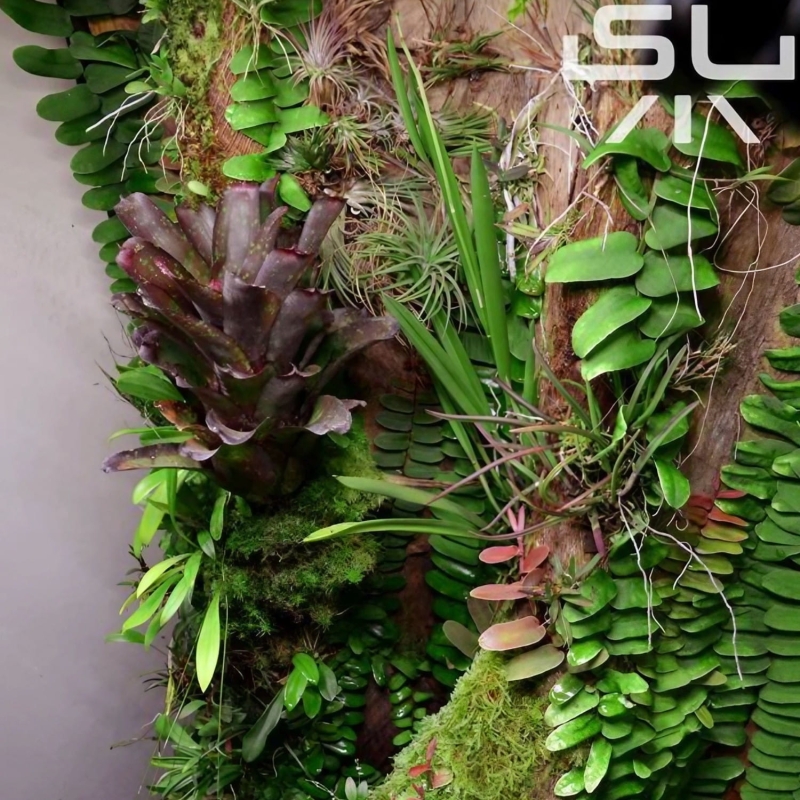 lampa-do-wzrostu-roslin-w-terrarium