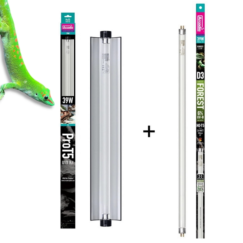 Zestaw-lampa-Arcadia-Pro-T5-UVB Kit-Swietlowka-T5-39w-6%-UVB+30%-UVA-FOREST-D3+