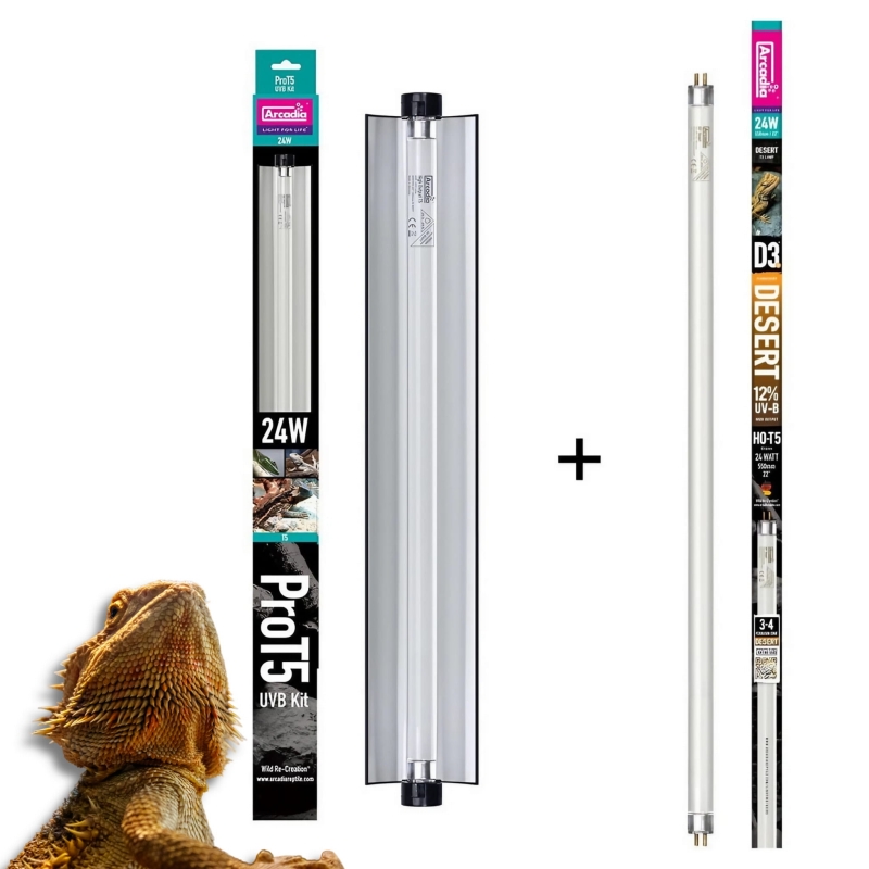 Zestaw-lampa-Arcadia-Pro-T5-UVB-Kit-swietlowka-T5-24w-12%-UVB+30%-UVA-DESERT-D3+