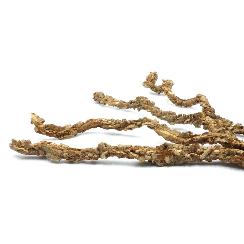 BioCork-Liana-korkowa