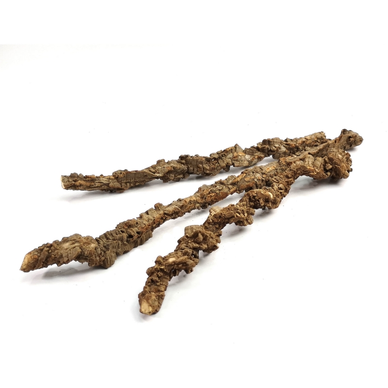 Liana-do-Terrarium-do-wspinania