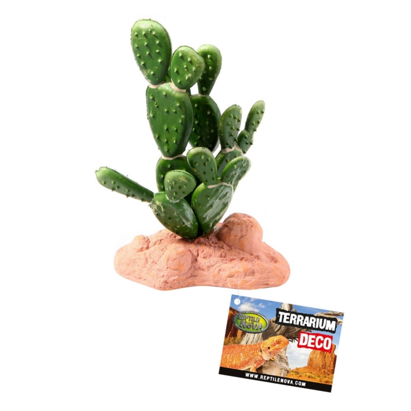 Roslina-sztuczna-do-terrarium