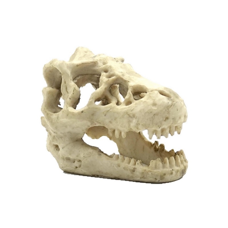 Reptile-Nova-Skull-czaszka