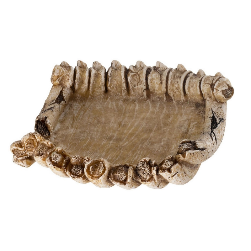 miska-na-wode-i-jedzenie