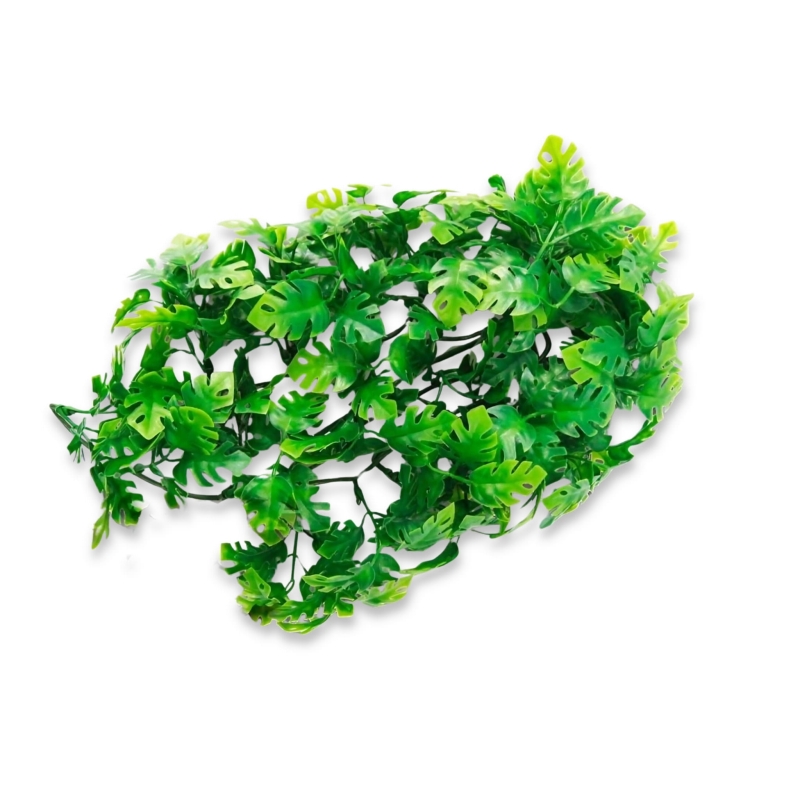 AMAZONIAN-PHYLLO