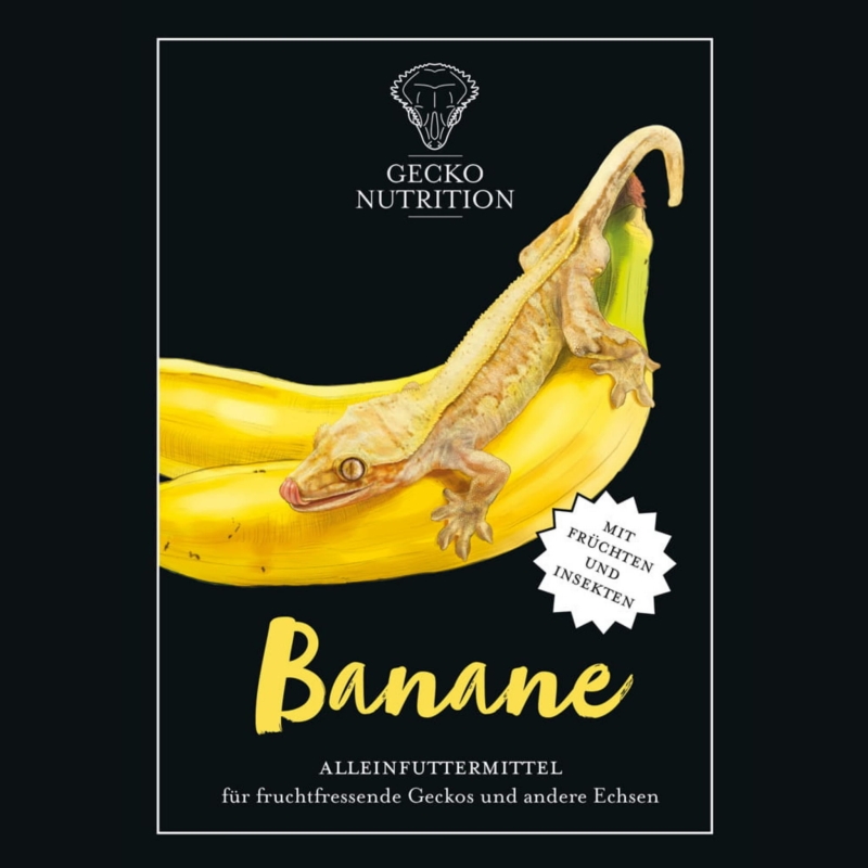 pokarm-papka-dla-gekona