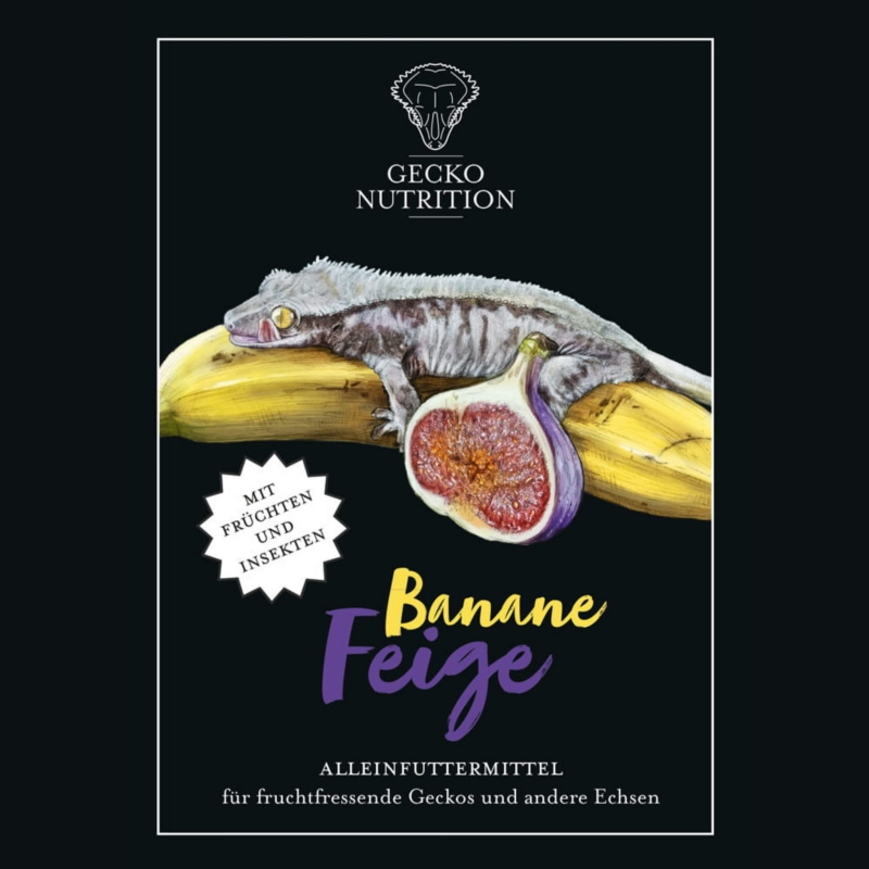 pokarm-dla-gekona-jaszczurki