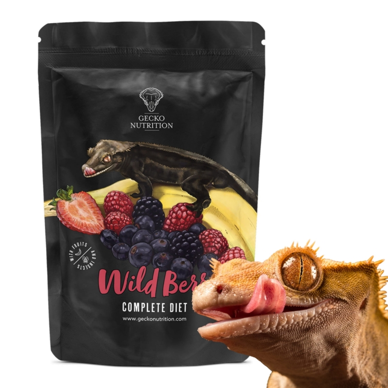Gecko-Nutrition-Banan-owoce-Lesne