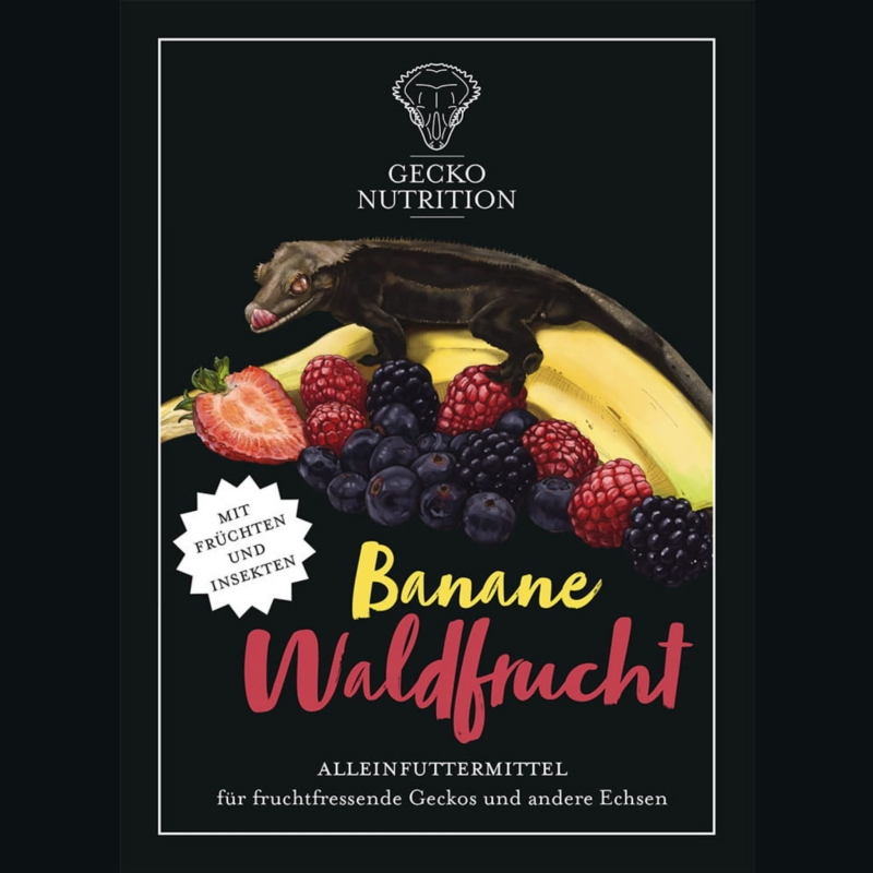 pokarm-papka-dla-gekona