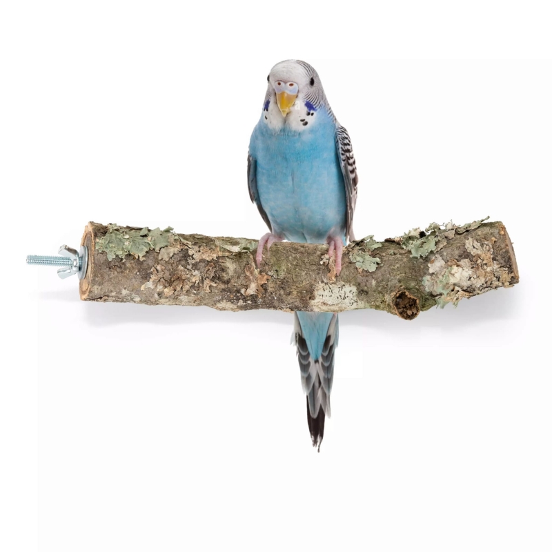 żerdź dla papugi z korka