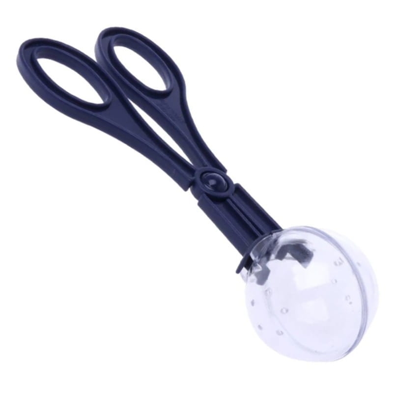 terrario-cricket-catcher-lapacz-owadow