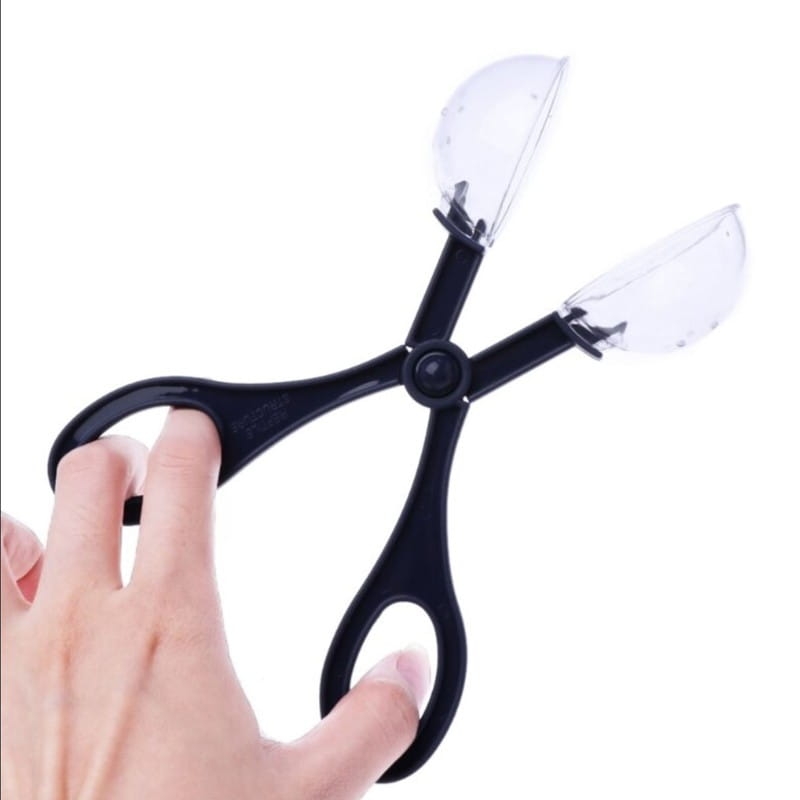 lapacz-do-owadow-swierszczy