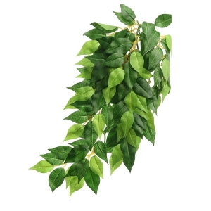 Exo Terra Ficus - Roślina do terrarium S-L