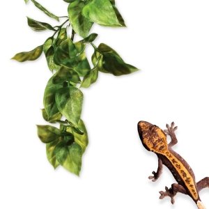 Exo Terra Roślina sztuczna – Amapallo, Small S EX-0018