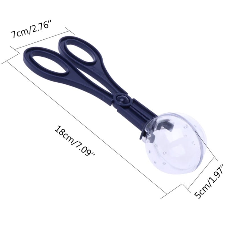 terrario-cricket-catcher-lapacz-owadow