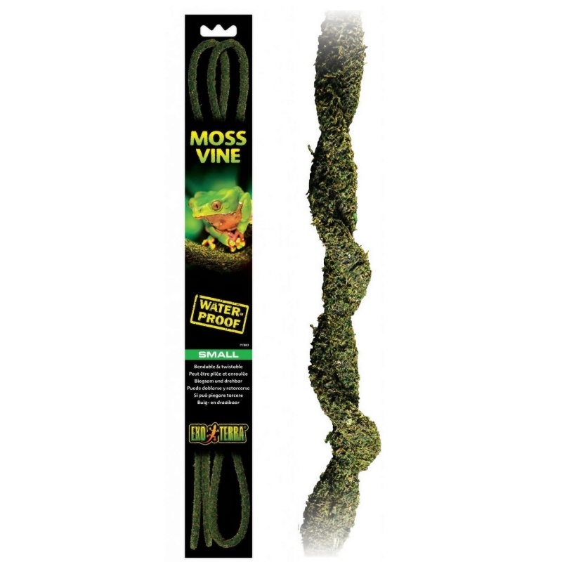 Moss-Vine-liana