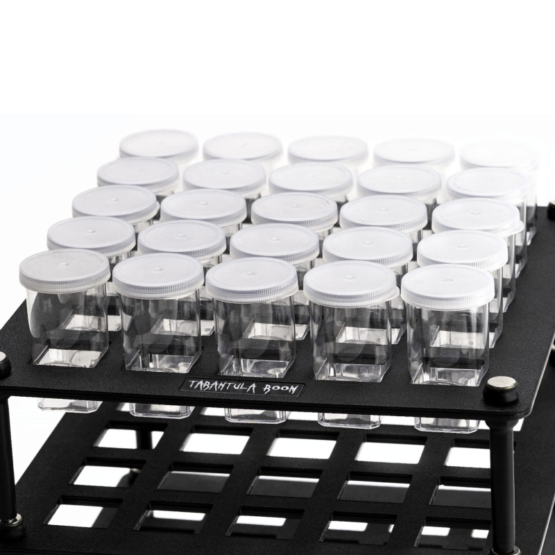 kliszowka-dla-ptasznika