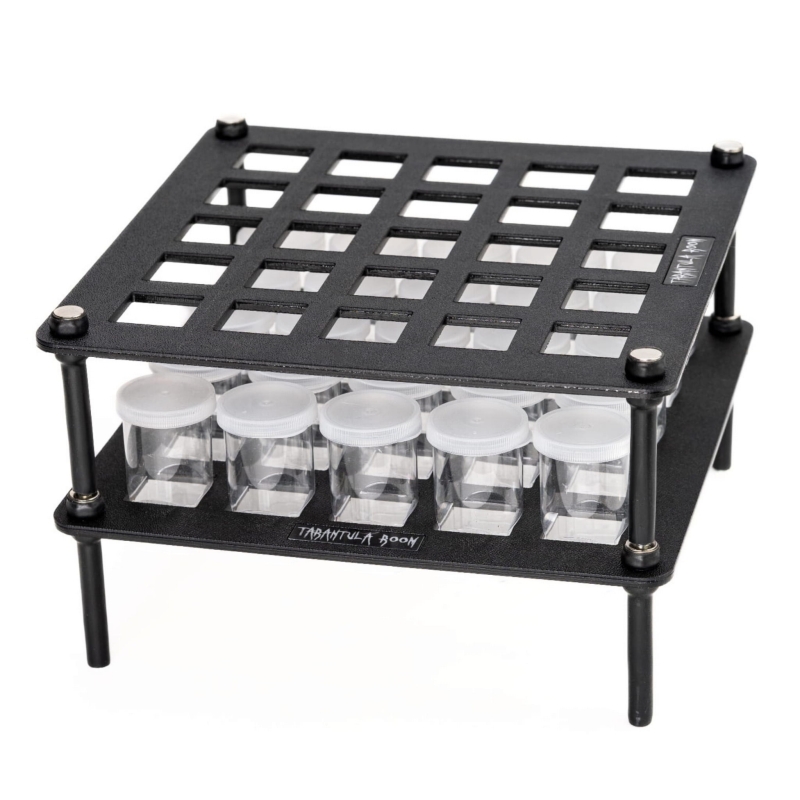 kliszowka-dla-ptasznika