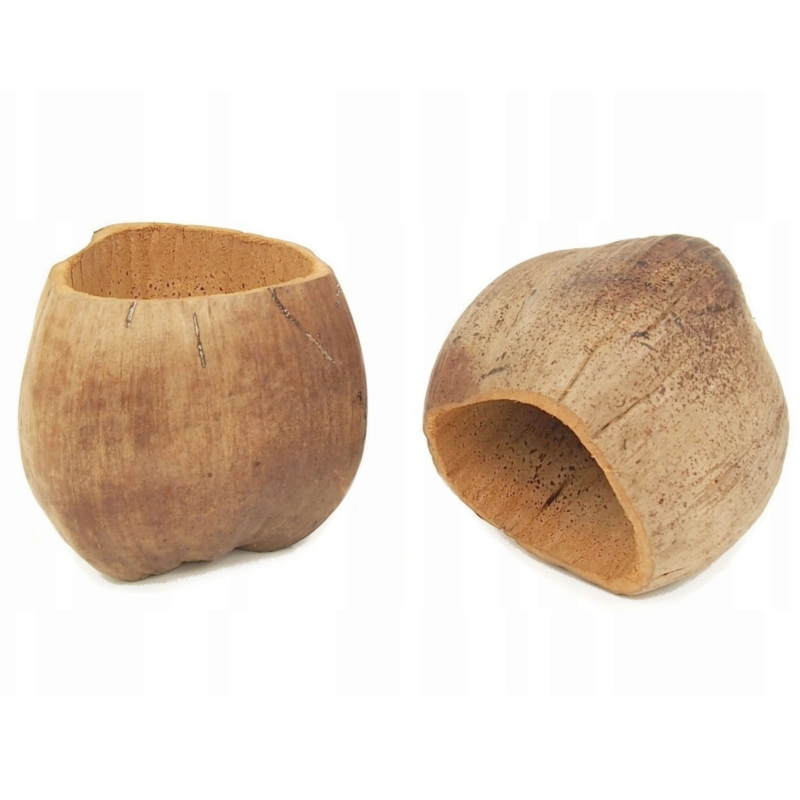BioCoco-Pot-Doniczka-Kokosowa
