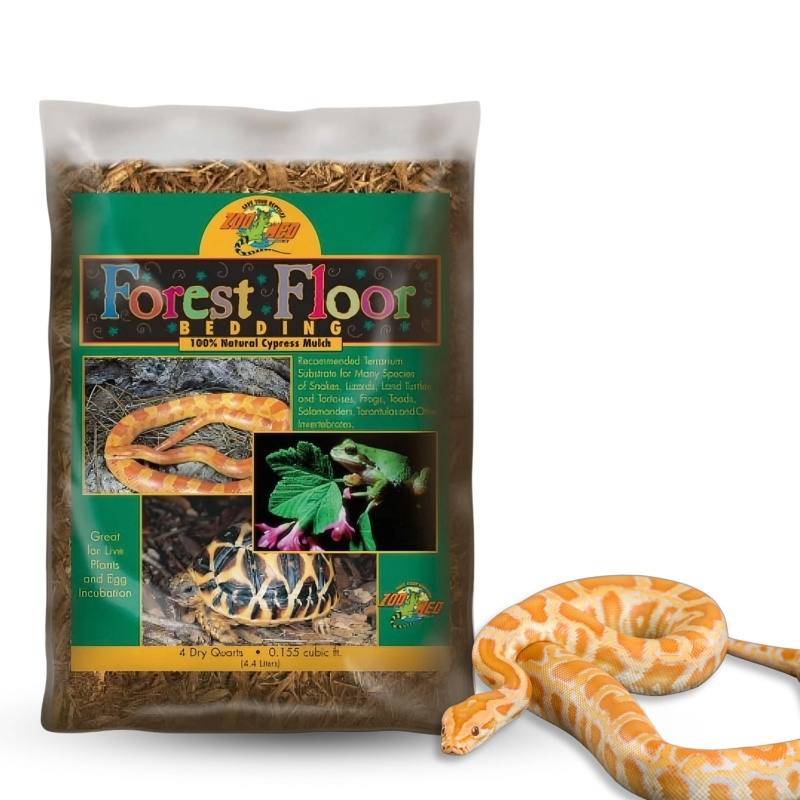 zoomed-kora-z-cyprysa-forest-floor