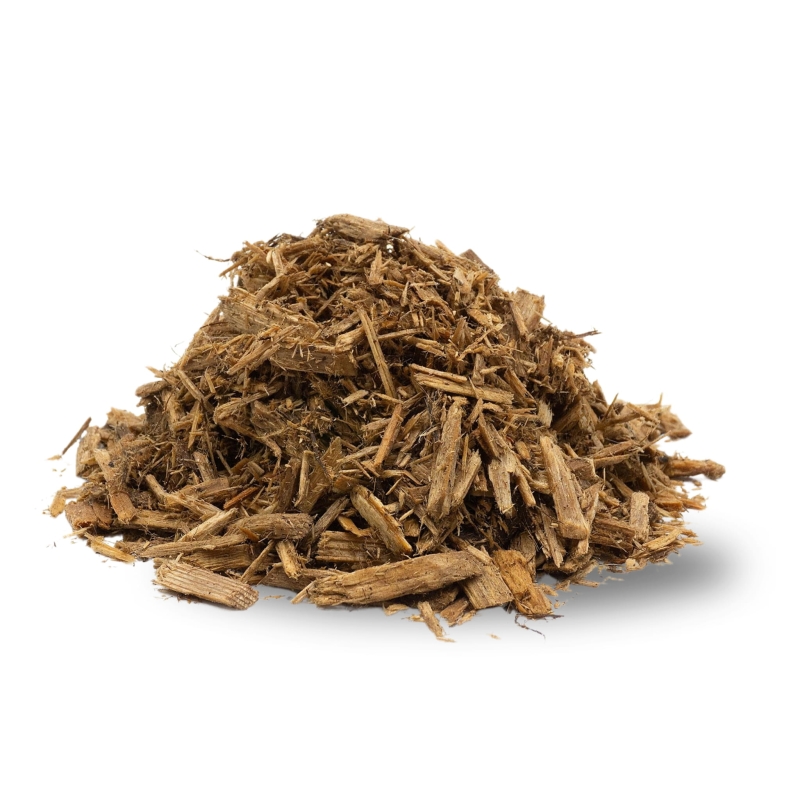 zoomed-kora-z-cyprysa-forest-floor
