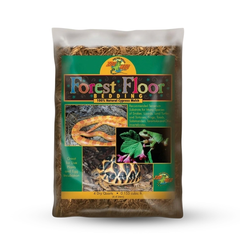 zoomed-kora-z-cyprysa-forest-floor