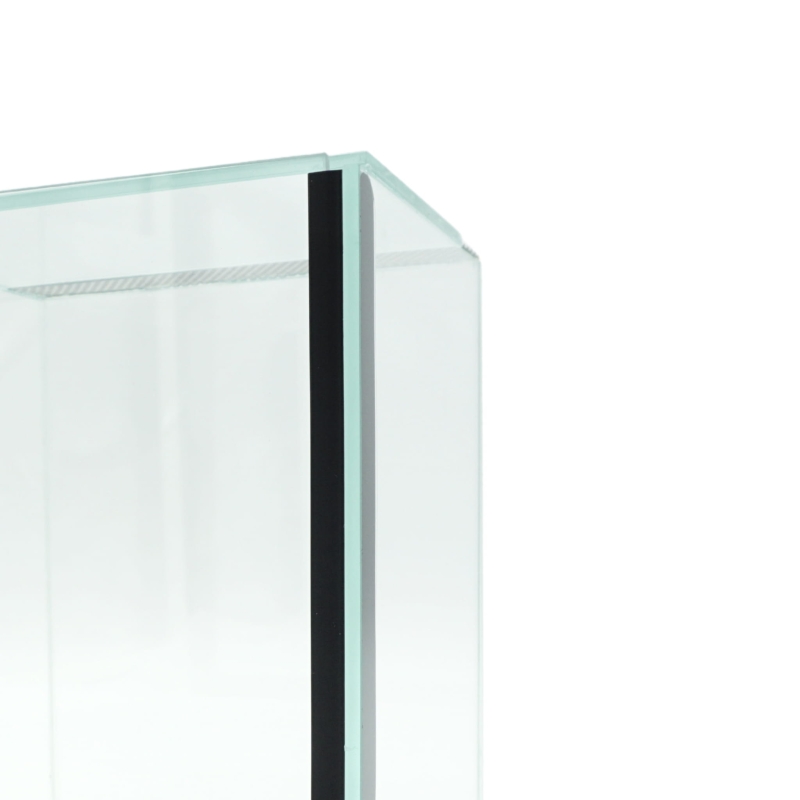 terrarium-dla-ptasznikow-modliszek-patyczakow-malych-straszykow