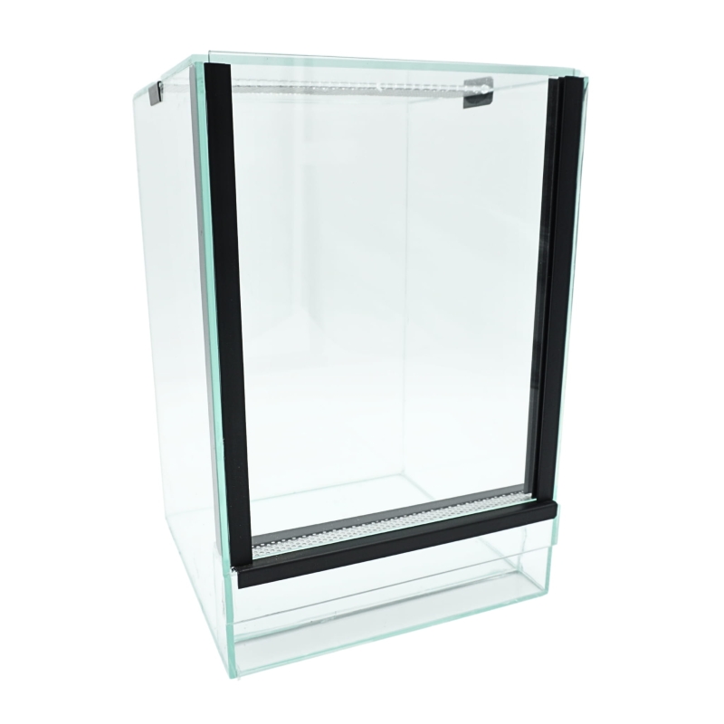 terrarium-dla-pajaka-nadrzewnego-Avicularia-Tapinauchenius-Ybyrapora-Poecilotheria